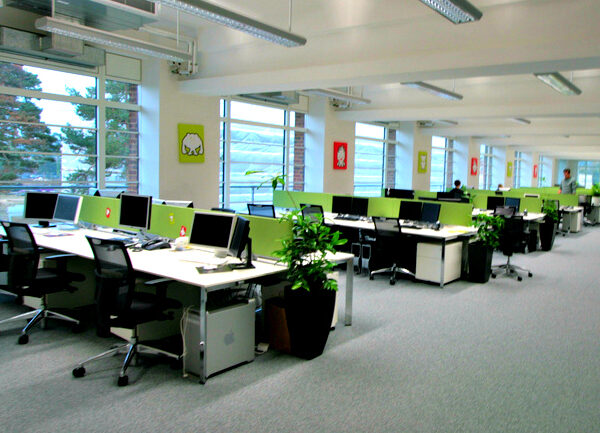 Expertiză feng shui pentru o afacere într-un open space de peste 100mp